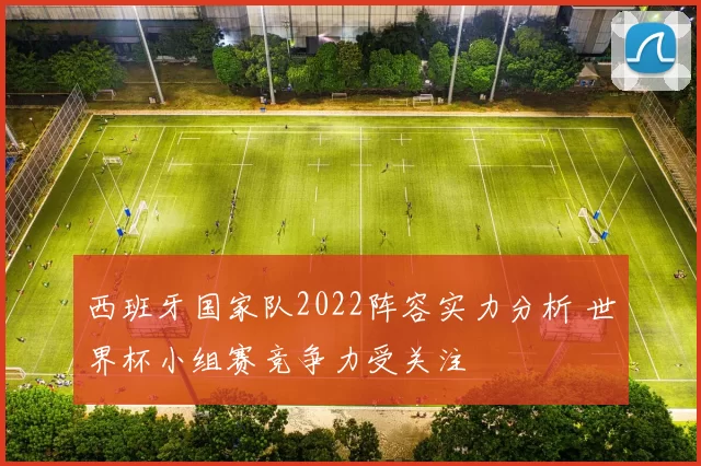 西班牙国家队2022阵容实力分析 世界杯小组赛竞争力受关注