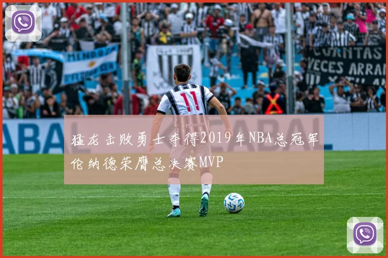 猛龙击败勇士夺得2019年NBA总冠军伦纳德荣膺总决赛MVP