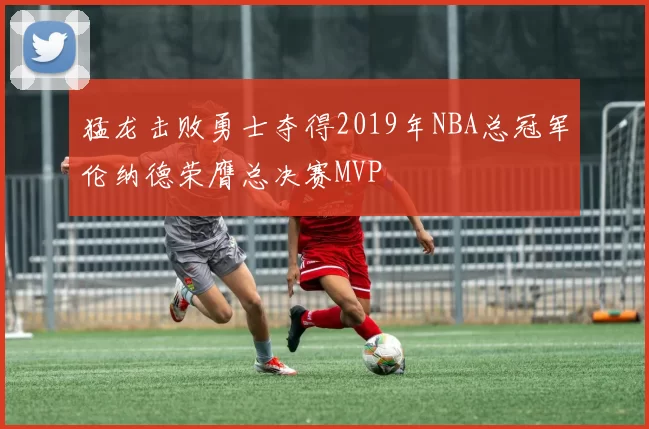 猛龙击败勇士夺得2019年NBA总冠军伦纳德荣膺总决赛MVP