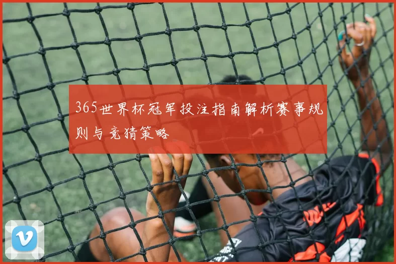 365世界杯冠军投注指南解析赛事规则与竞猜策略