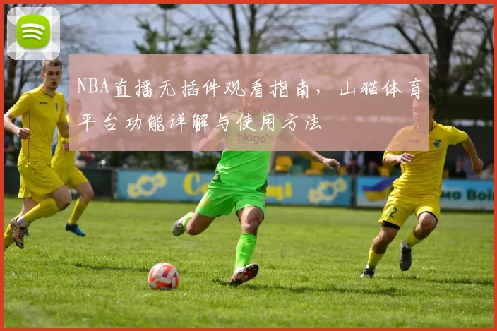NBA直播无插件观看指南,山猫体育平台功能详解与使用方法