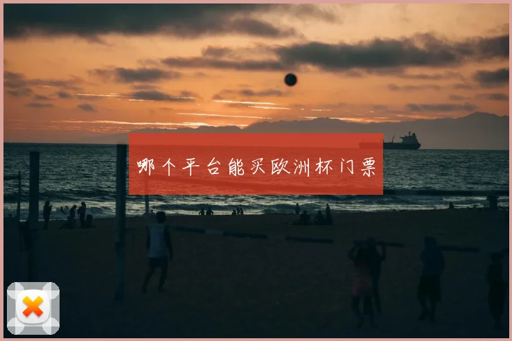 哪个平台能买欧洲杯门票