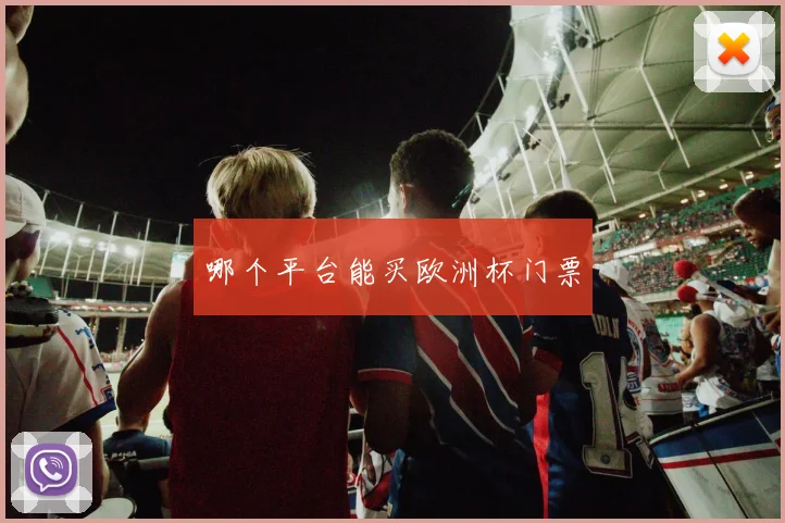 哪个平台能买欧洲杯门票