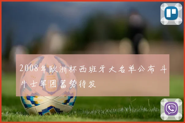 2008年欧洲杯西班牙大名单公布 斗牛士军团蓄势待发