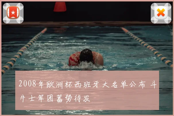 2008年欧洲杯西班牙大名单公布 斗牛士军团蓄势待发