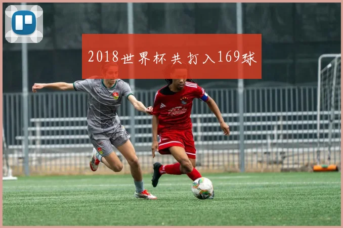 2018世界杯共打入169球