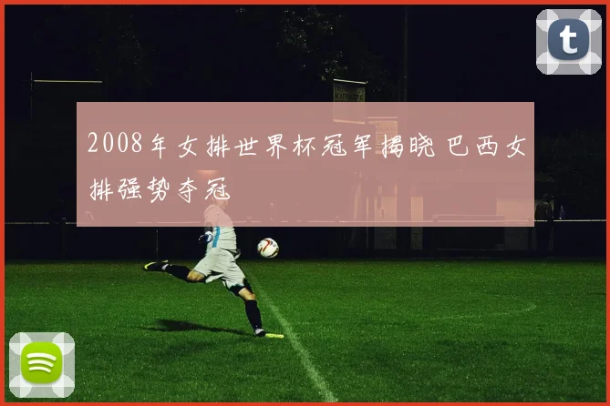 2008年女排世界杯冠军揭晓 巴西女排强势夺冠